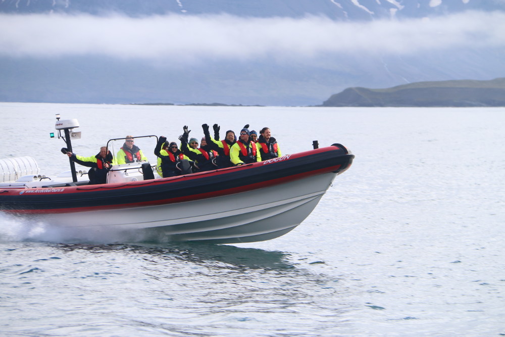 Dive Rib